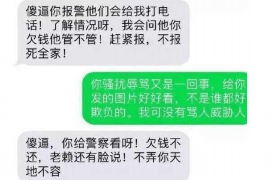 桐柏桐柏专业催债公司，专业催收